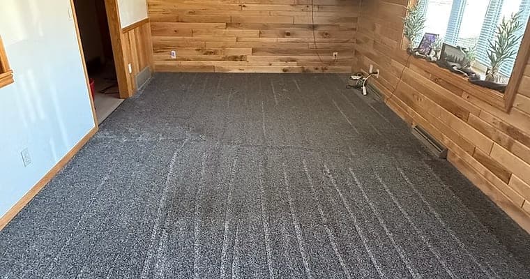 Gray carpet in a room with wood-paneled walls